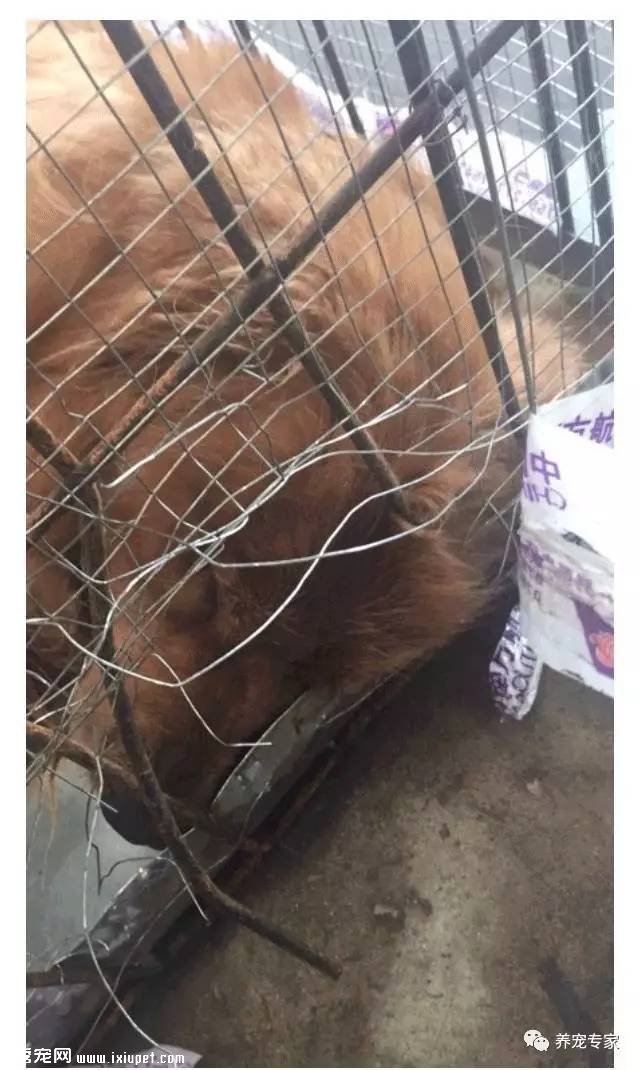 �̶�����ʱ�䣬�����ٴη������������¹ʣ�