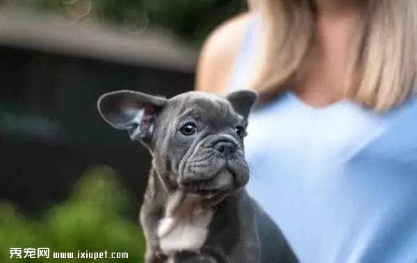 ���в�ҩ�ĳ���Ʒ��������ô��
