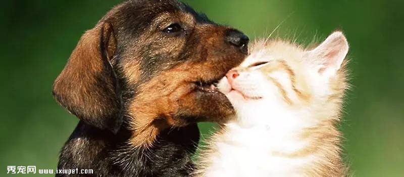 �ɴ��ó���Ư����������ȥ�ձ�