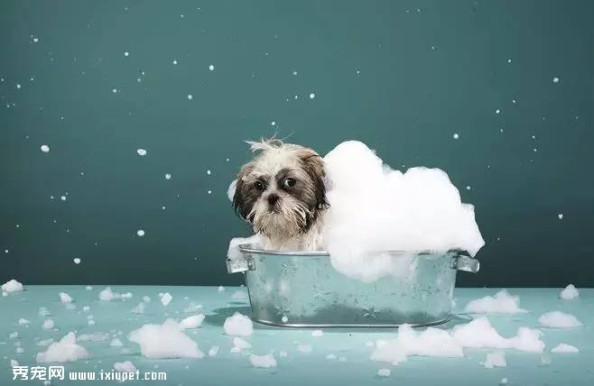 ÿ���ʱ�:Ӣ���о��߽���ҽ�����ӡ����ﹷ������