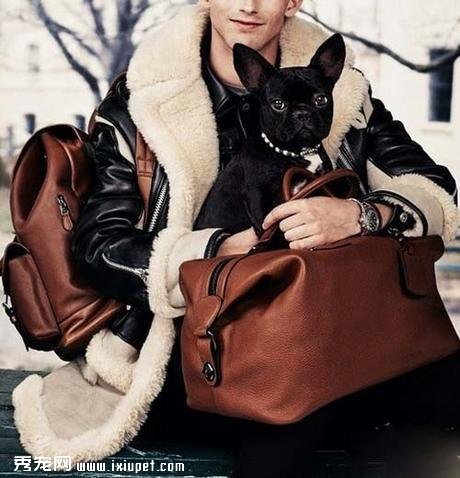 ����ΪCOACH�ȴ�������ģ�أ��������