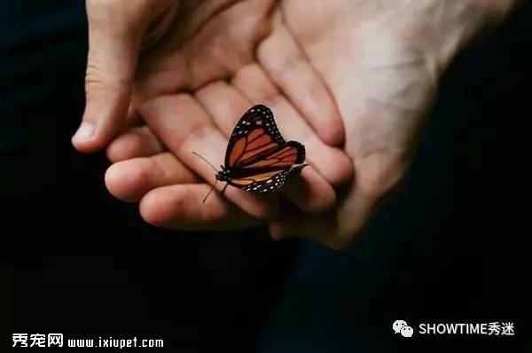 ��������ʦ���ְҵ��һ�����ѵ�������·