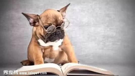 ��ҳ���ʳƷ��ҵ3����20�ڣ������ռ�����ʲ�����