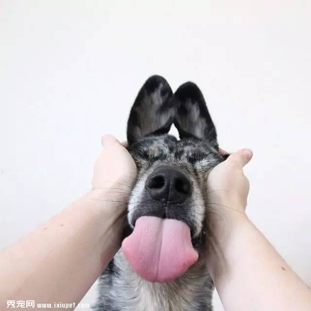 ����ͨ�����繺����ﱻƭ���������������