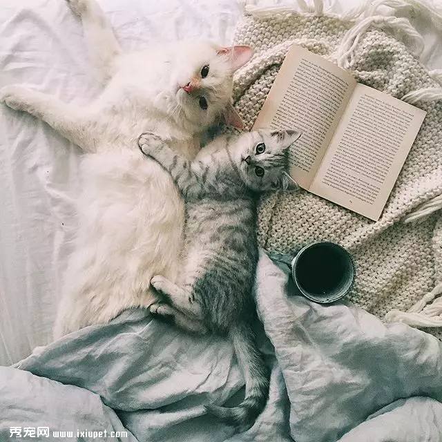 С����������������������Ȧ�ƹ㣬ߣ�����յ���ô��