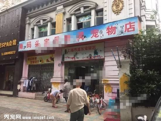 �ֶ�һ����궥�š����ڹ���Ͷ�߿���5�ꣿ