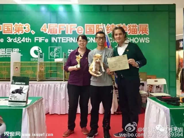 FIFe���ʴ���èչ����9�µ�½�人CPF�販��