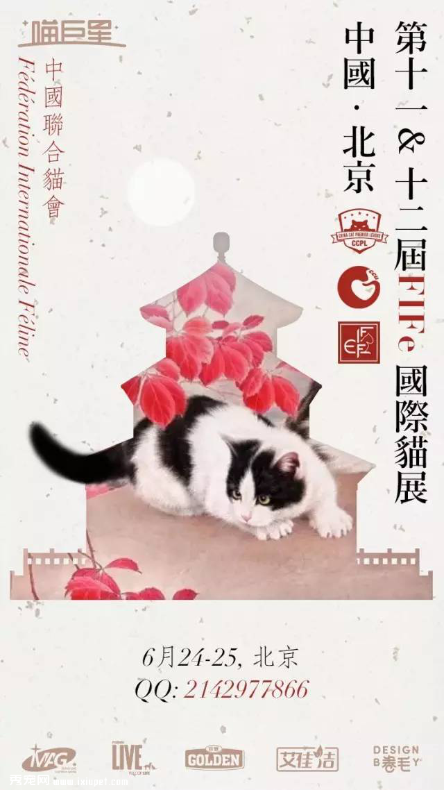 FIFe���ʴ���èչ����9�µ�½�人CPF�販��