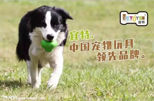 ���ý̾ͻ��棬���س������Ҫ���人�������顱����