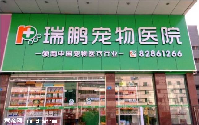 ��ô����޵�ʽ�ĳ������������ܳŶ�ã�