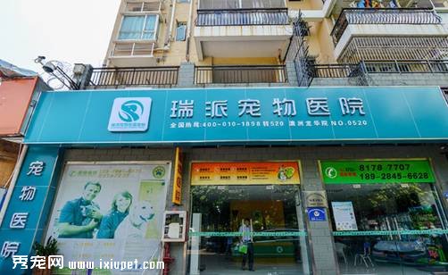 ��ô����޵�ʽ�ĳ������������ܳŶ�ã�