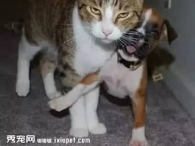 ������������������ܲ����ϳ���������ô����