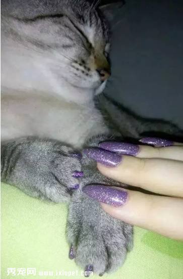 ����������ձ��ߺ�����׷��