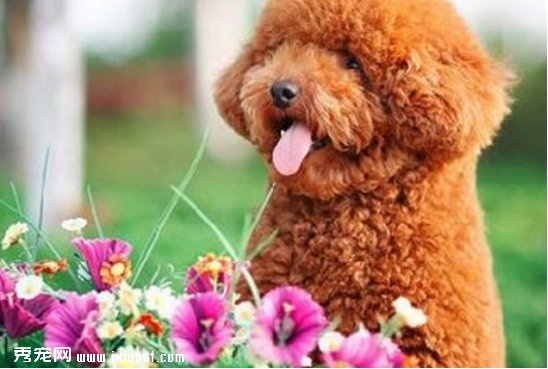 ʲô�������?��ȷ�������취����Щ?