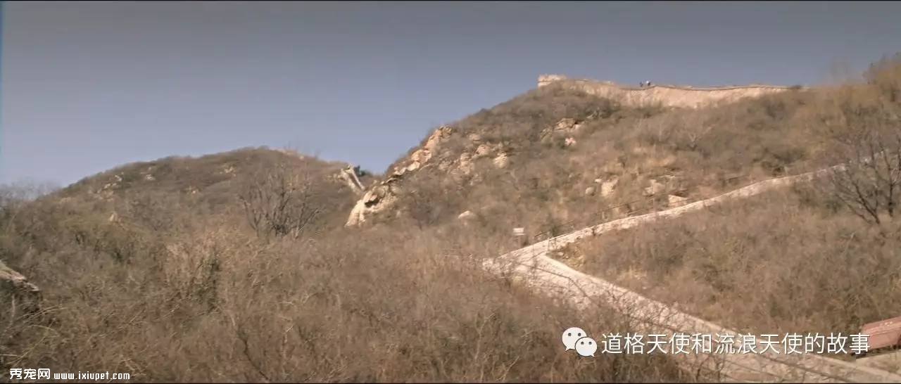 �����Ӱ���Ұ����ԡ��Ĺ���ԭ�ͼ��������