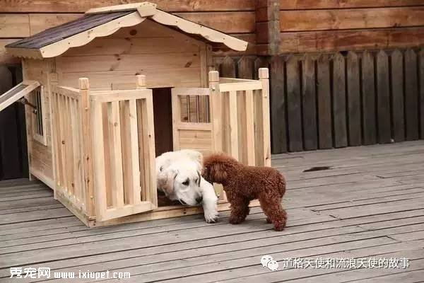 �����Ӱ���Ұ����ԡ��Ĺ���ԭ�ͼ��������