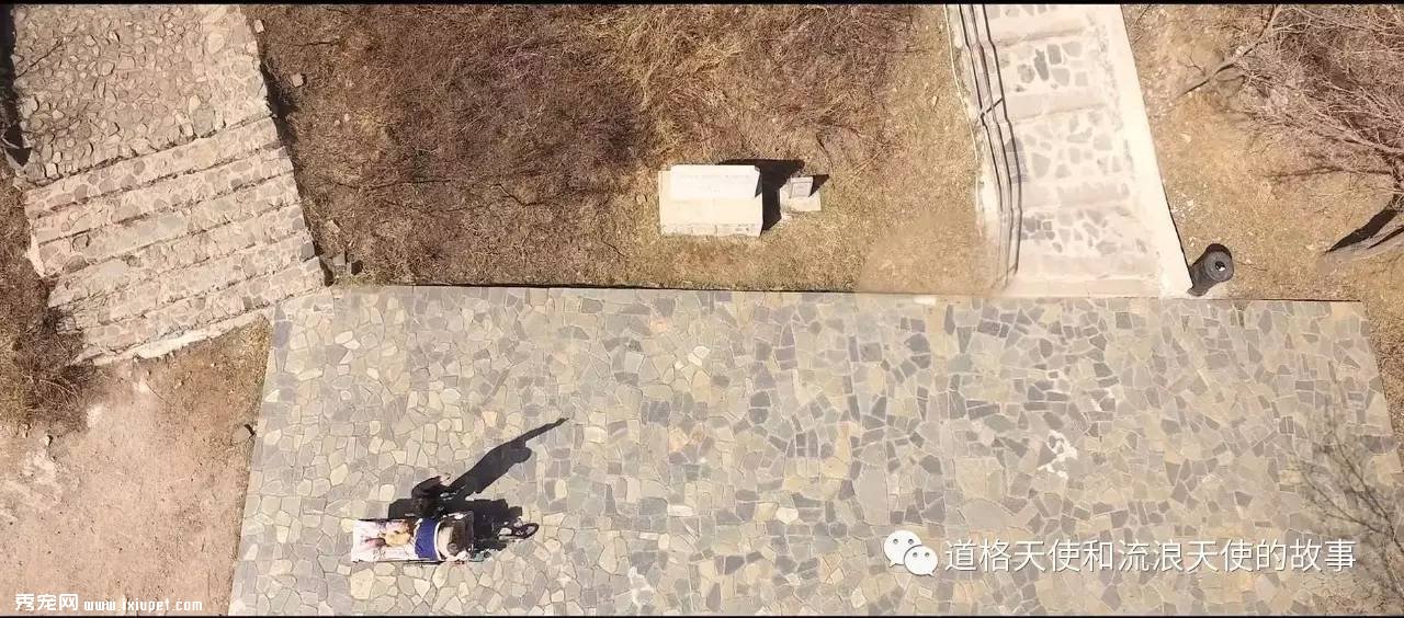 �����Ӱ���Ұ����ԡ��Ĺ���ԭ�ͼ��������