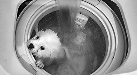 ϴ�»�ϴ������ ������ػᱻ����