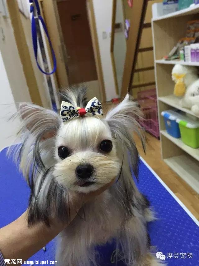 ��������ʦ����˵�����ﻰ