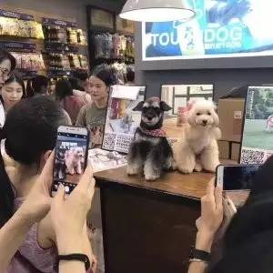 ����ҽ�Ʒ����г��Ӵ� ��ҵ��ּ���ӭ���ޱ�