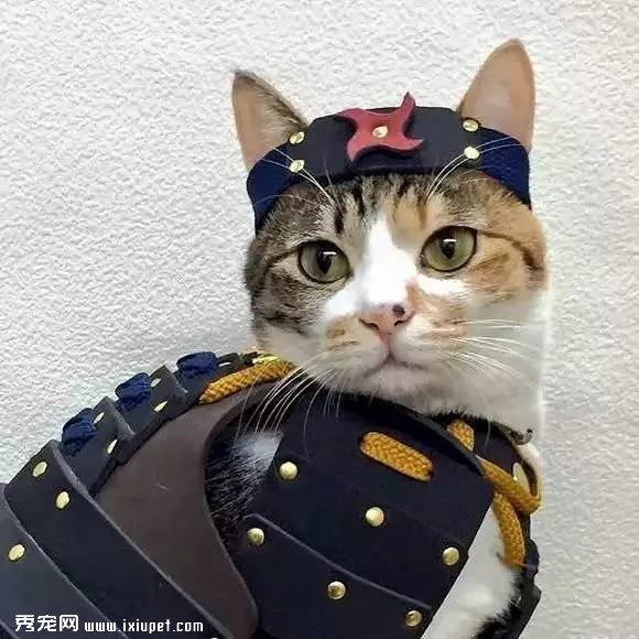 ����ҽ�Ʒ����г��Ӵ� ��ҵ��ּ���ӭ���ޱ�