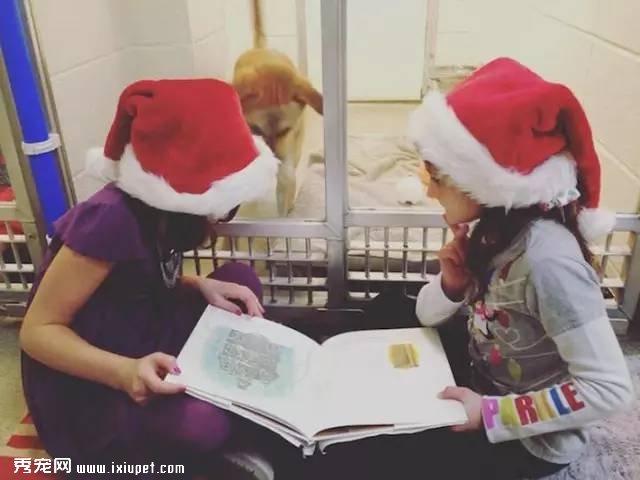 ����л��ᣬ��Ը���ú�����������������
