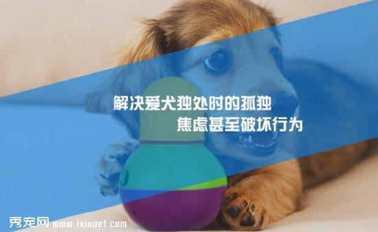 �Ǽ�©ʳ������BOB ����һ�����ӻ�����Ȥ
