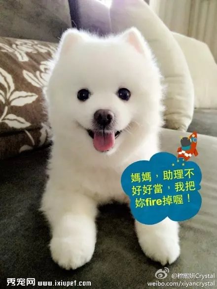 �������Ĺ���ʲôƷ�֣��������������ϣ�ͼƬ��