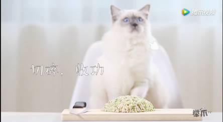 Ϊ���⵵�����ȳ��³����ĳ�����ʳ��Ŀ����ƽƽ��