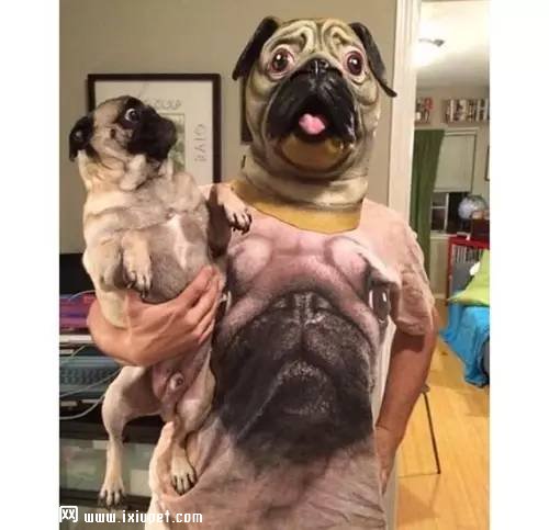 �������Է���������������ѷ�ϳ��ۣ�