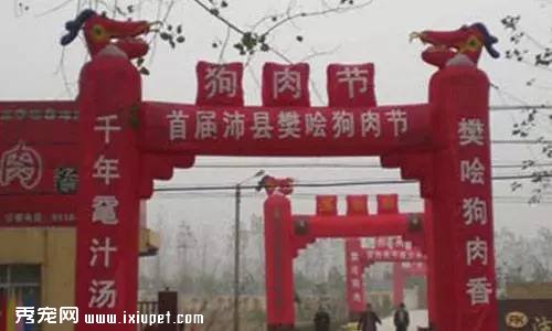 ������Դ���飺�����⹷����û���� ��Դ����Ϊ͵��