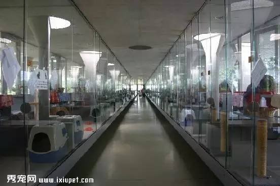 ȫ����ֻ�е¹�����������˹� ����ԭ��������˼��
