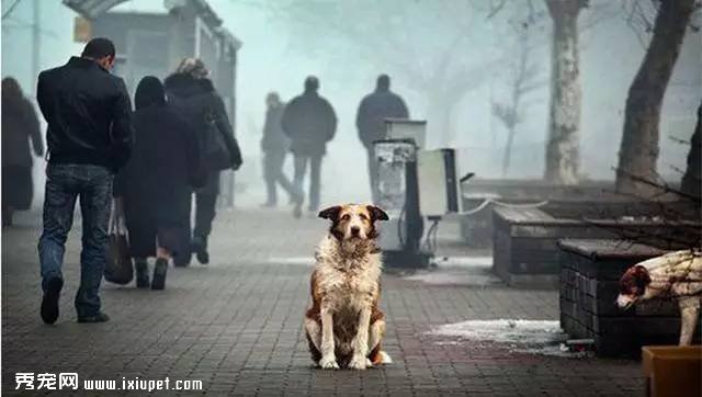ȫ����ֻ�е¹�����������˹� ����ԭ��������˼��