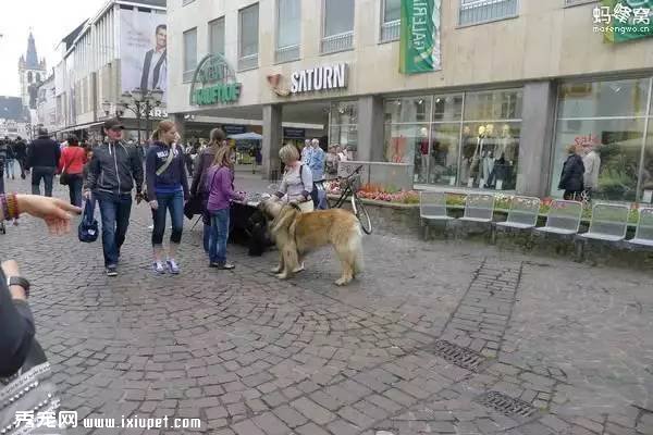 ȫ����ֻ�е¹�����������˹� ����ԭ��������˼��