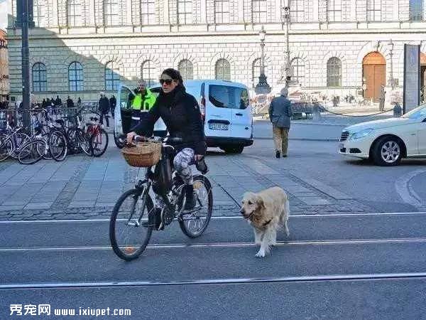ȫ����ֻ�е¹�����������˹� ����ԭ��������˼��
