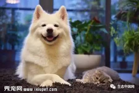 �㻼�ϡ���������֢����������ô����������⣿