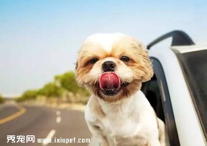 �ļ����������ע����Щ���棿