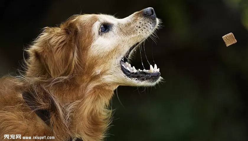 ũҵ��һ��������46���µĽ��ڳ�����