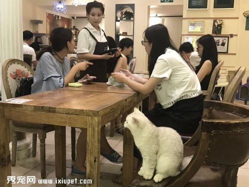 �����ﾭ�á����� ����ҵ�ھ���������г��̻�