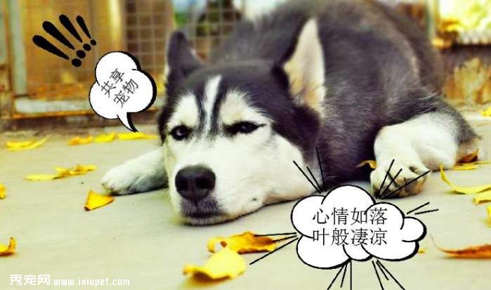 ������ﹲ��������٣���Ը�������ҵ�������