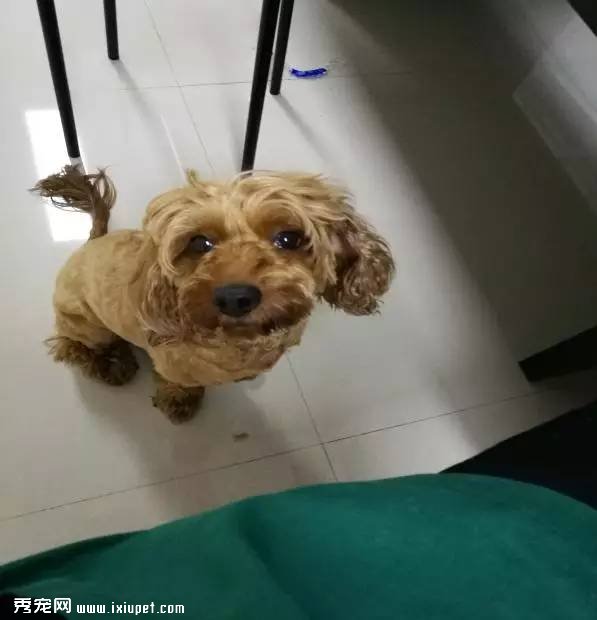 ���ڹ�ע�Ļ���һ���