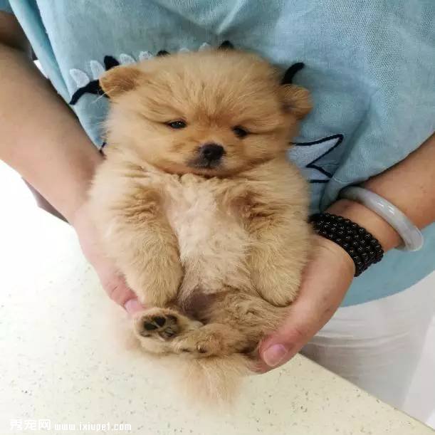 ���ڹ�ע�Ļ���һ���