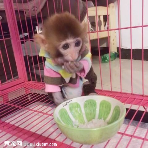 ���������������_���������������_������ĺ��ӳ���ר����
