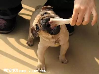 ����ʳƷ��������ʱ�����˺ͣ���ٿ���ʳ��������