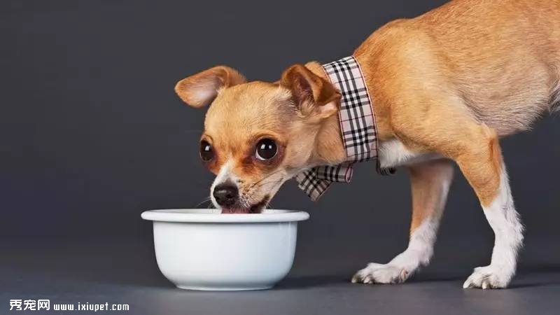 ����ʳƷ��������ʱ�����˺ͣ���ٿ���ʳ��������