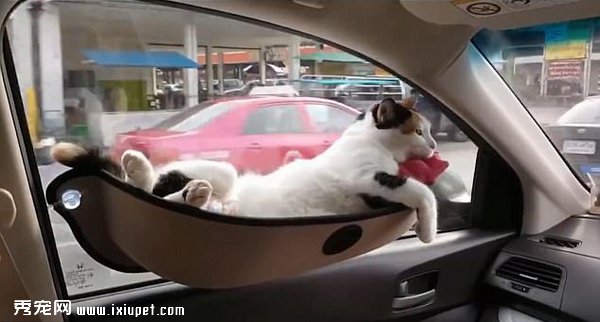 ���س��������������������;�羰