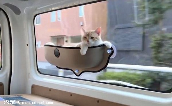 ���س��������������������;�羰