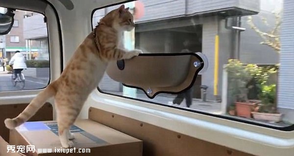���س��������������������;�羰