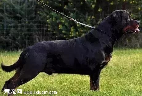 �����������ҳϵĹ���ָ��������������ο