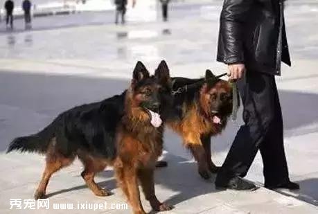 �����������ҳϵĹ���ָ��������������ο